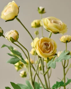 VND0078 K & K Interiors, Inc. Ranunculus Bloom Bundle