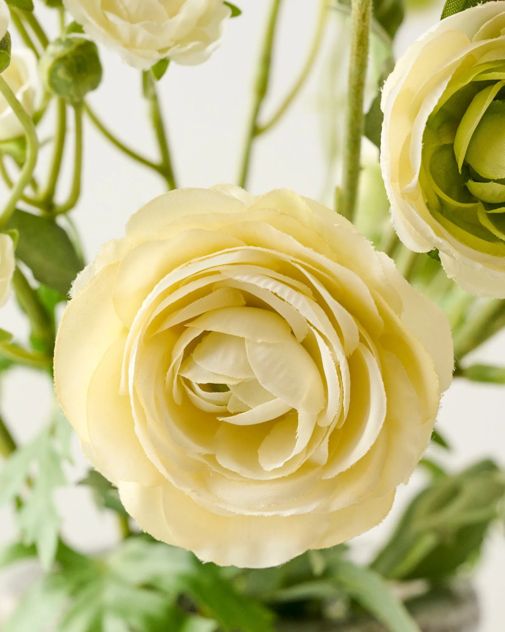 VND0078 K & K Interiors, Inc. Ranunculus Bloom Bundle
