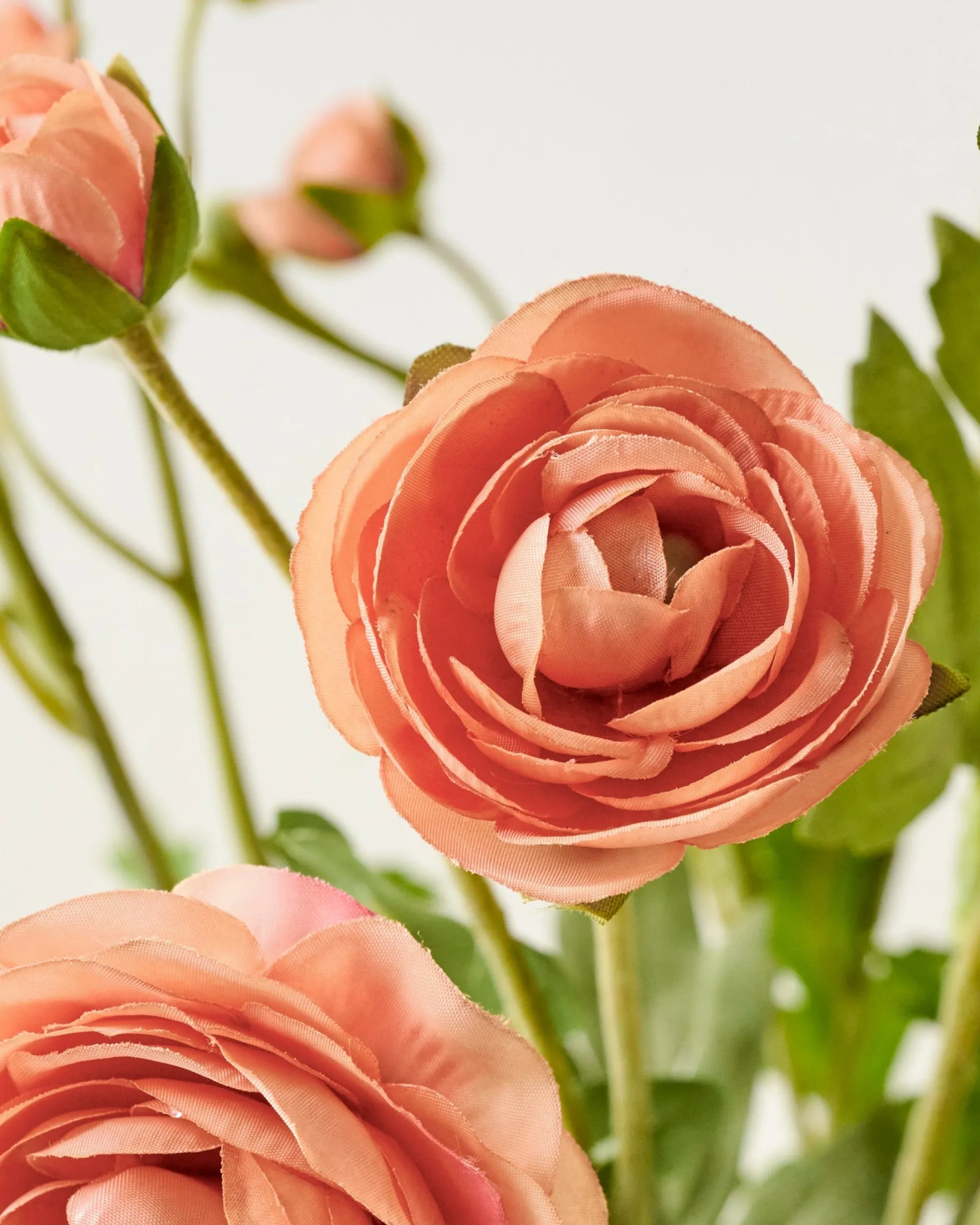 VND0078 K & K Interiors, Inc. Ranunculus Bloom Bundle