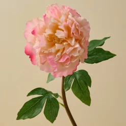 VND0078 K & K Interiors, Inc. Real Touch Peach Peony Stem