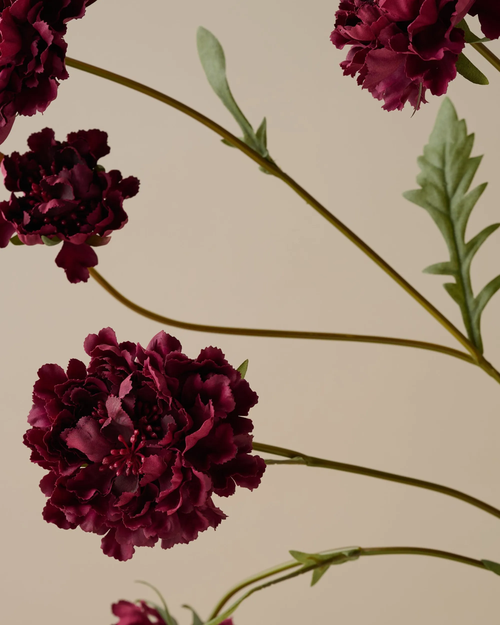 VND7816 UCP INTERNATIONAL CO., LTD Real Touch Red Velvet Scabiosa Stem