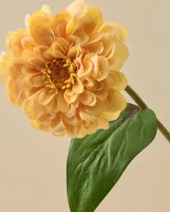 VND7816 UCP INTERNATIONAL CO., LTD Real Touch Zinnia Stem