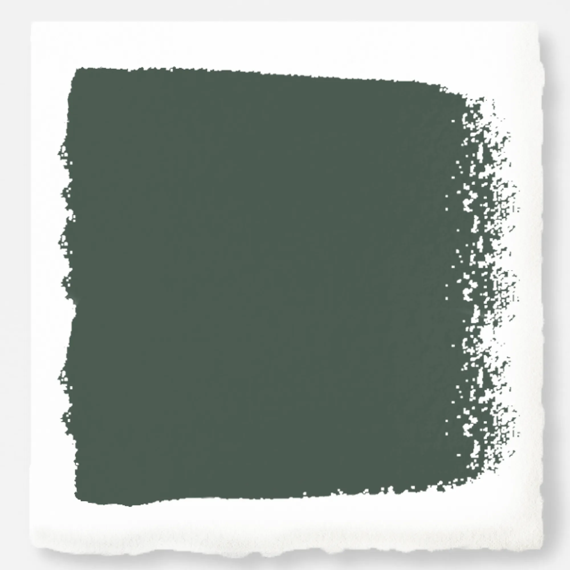 VND0188 Kilz - Masco Coatings Regal Leaf - Chalk Style Paint