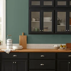 VND0188 Kilz - Masco Coatings Regal Leaf - Classic Interior Paint