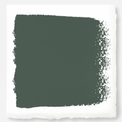 VND0188 Kilz - Masco Coatings Regal Leaf - Premium Interior Paint