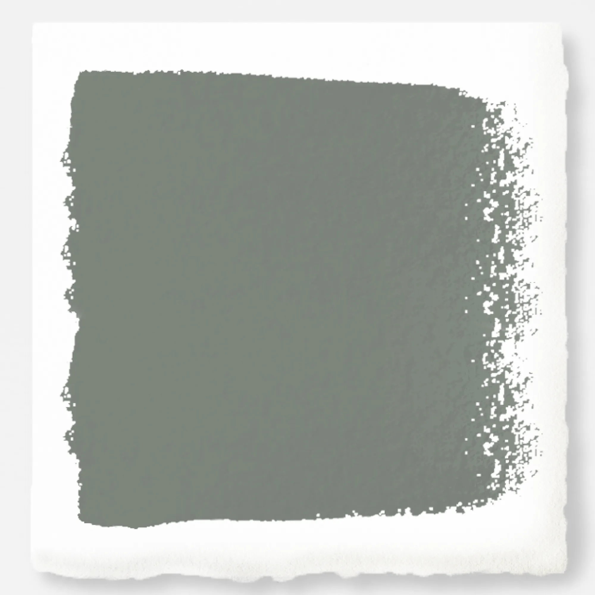 VND0188 Kilz - Masco Coatings Sage Stem - Premium Interior Paint
