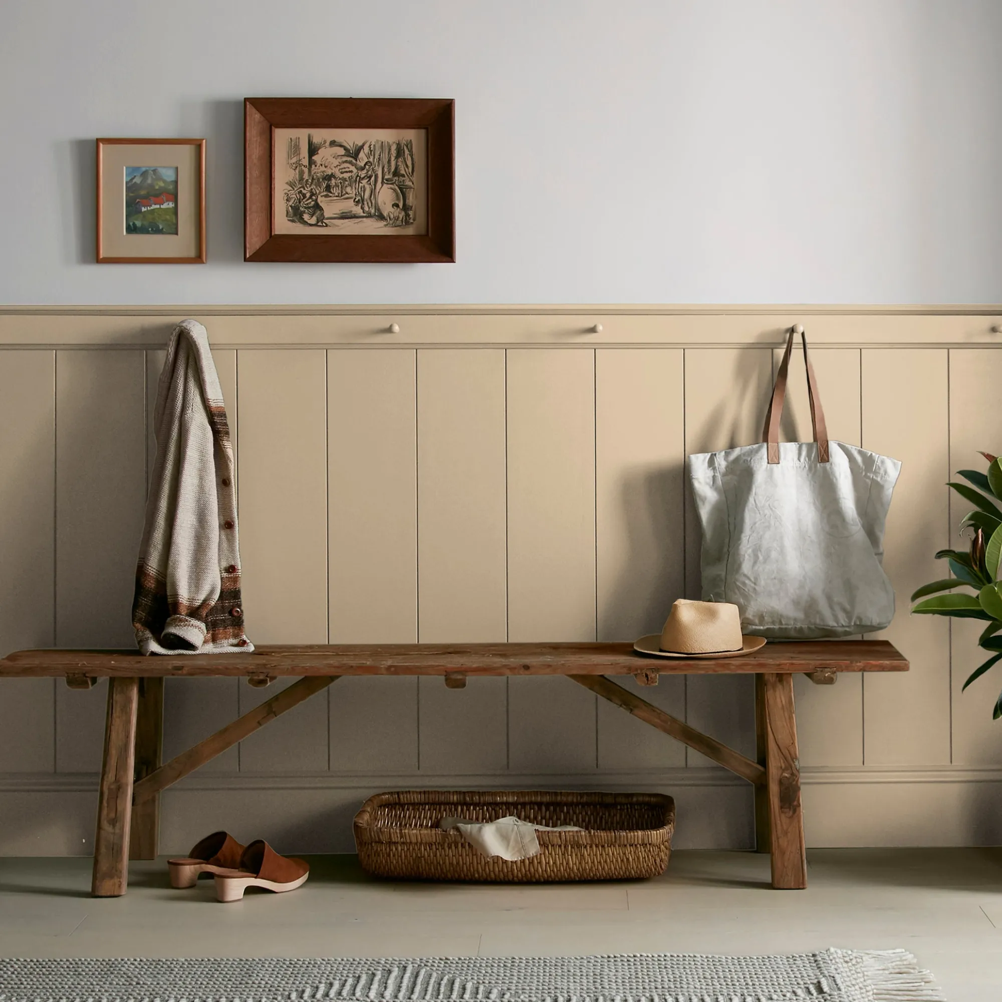 VND0188 Kilz - Masco Coatings Summer Pear - Premium Interior Paint