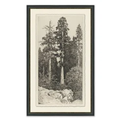VND6140 Art Headquarters LLC Tall Trees I