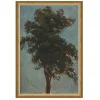 VND6204 Soicher Marin of Florida Tree Top