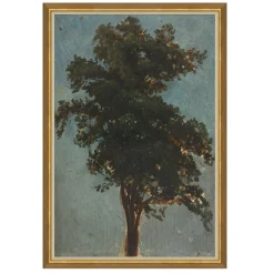 VND6204 Soicher Marin of Florida Tree Top
