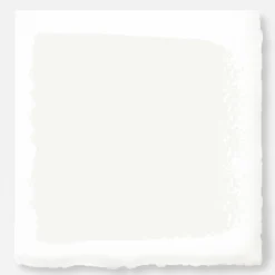 VND0188 Kilz - Masco Coatings True White - Premium Interior Paint