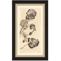 VND6204 Soicher Marin of Florida Vintage Peony I