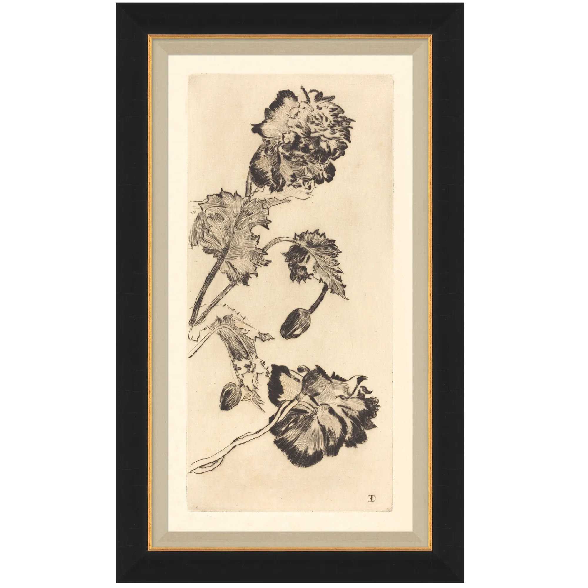 VND6204 Soicher Marin of Florida Vintage Peony I