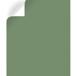 VND0188 Kilz - Masco Coatings Wellington Green - Exterior Paint
