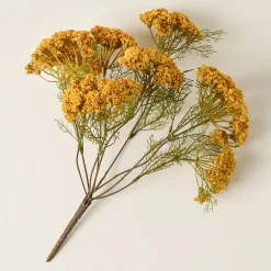 VND0119 RHC INC Yellow Queen Anne Lace Bush